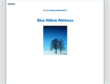 Tablet Screenshot of bluewillowwellness.com
